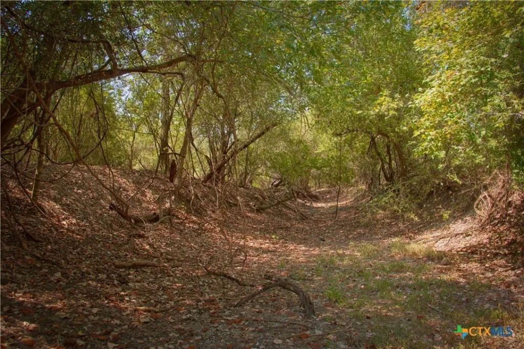 Picture 18
