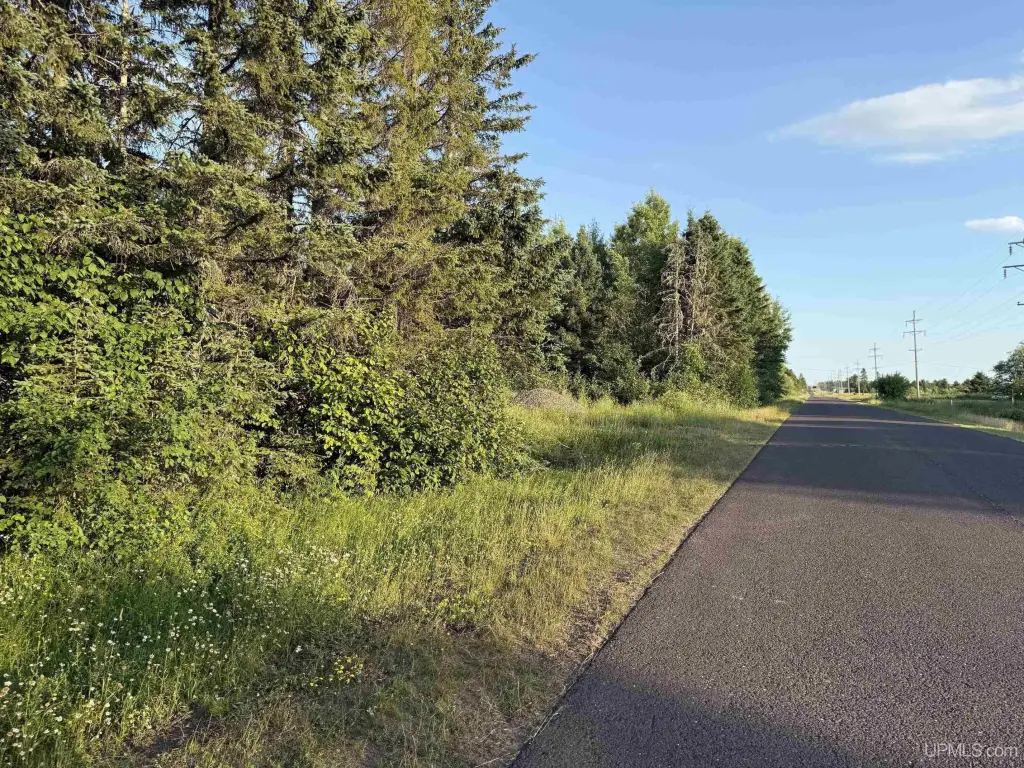Picture 25