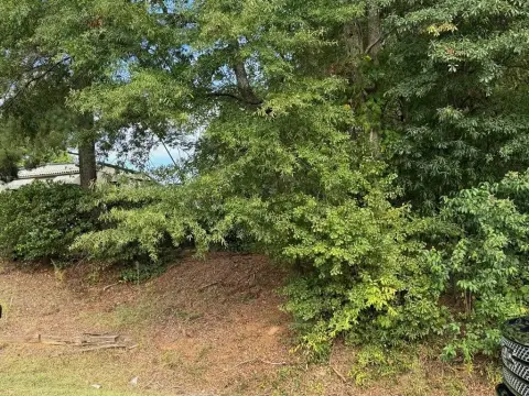 Residential Lot in Milledgeville, GA