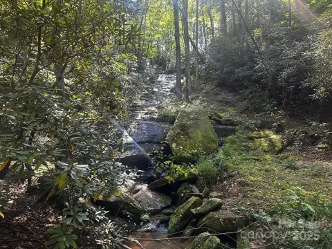 29.8 Acres Near Lake Lure