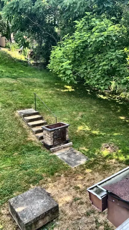 Picture 15