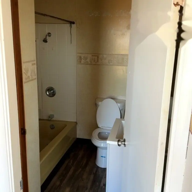Picture 12