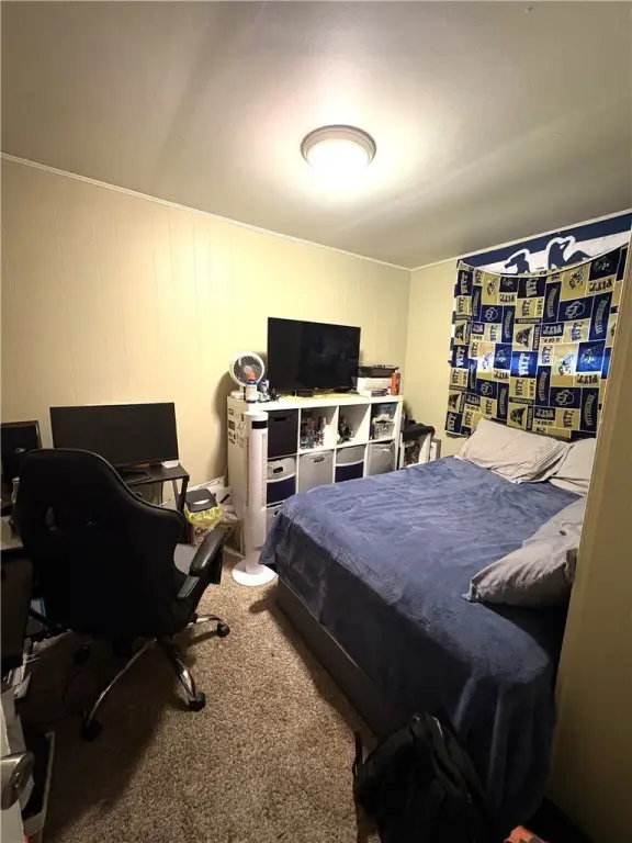 Picture 4