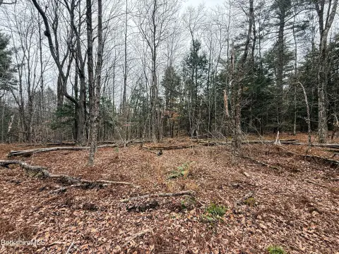 Land For Sale, Becket, MA