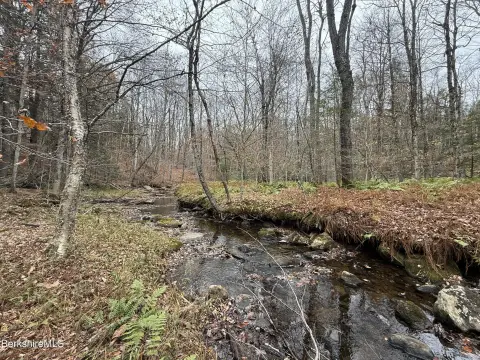 6.5 Acres Becket Land