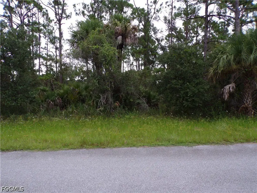 Picture 2