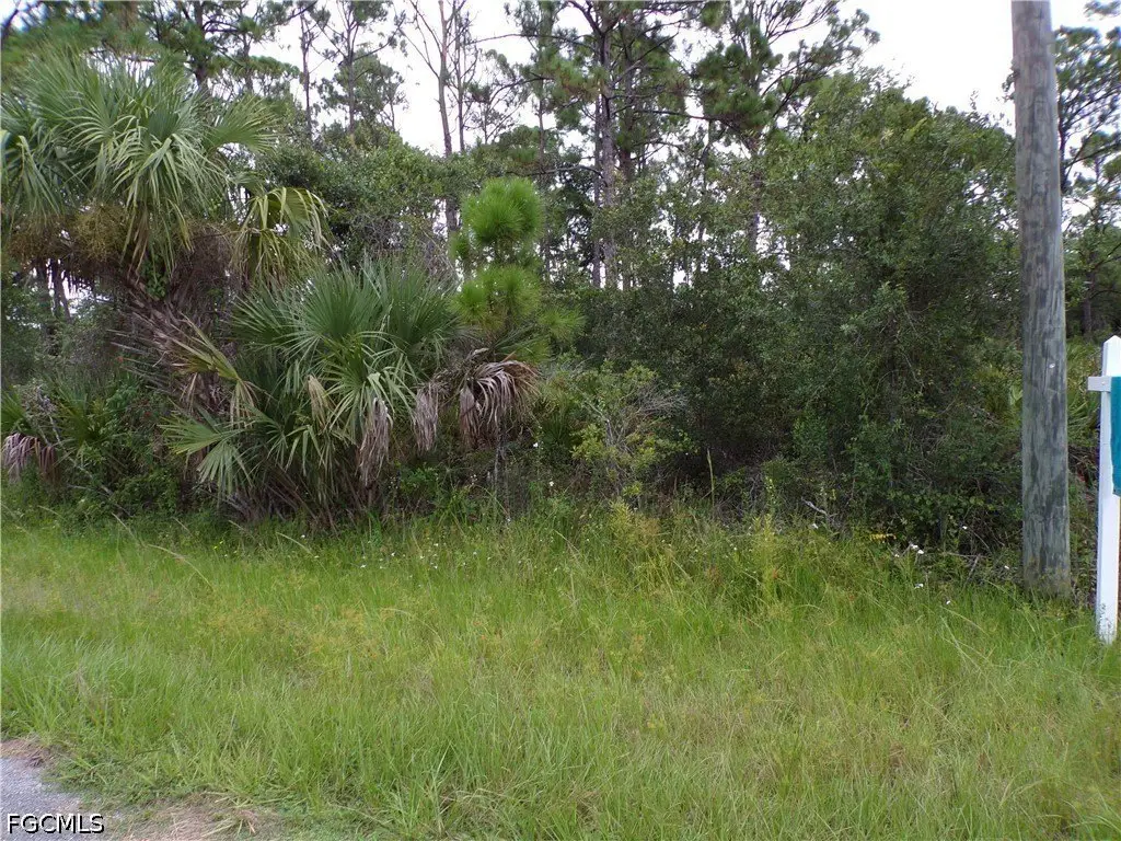 Picture 5