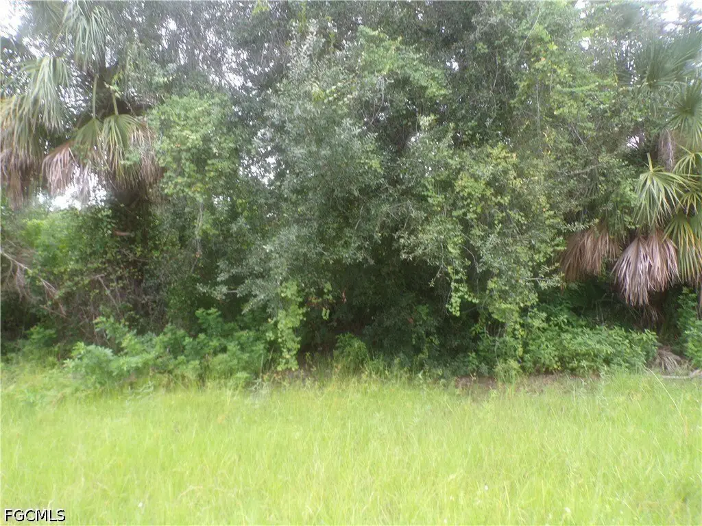 Picture 6