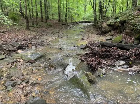 Milltown Land with Creek