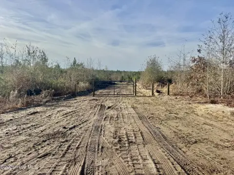 88 Acres Timberland in White Oak