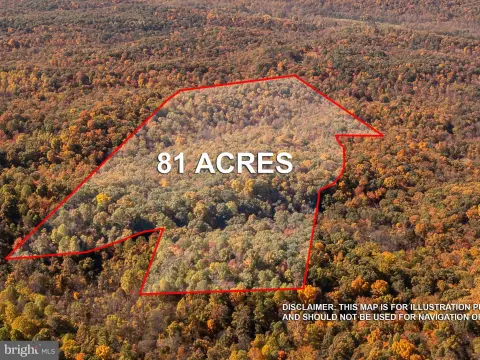 81 Acres of Woodland Retreat