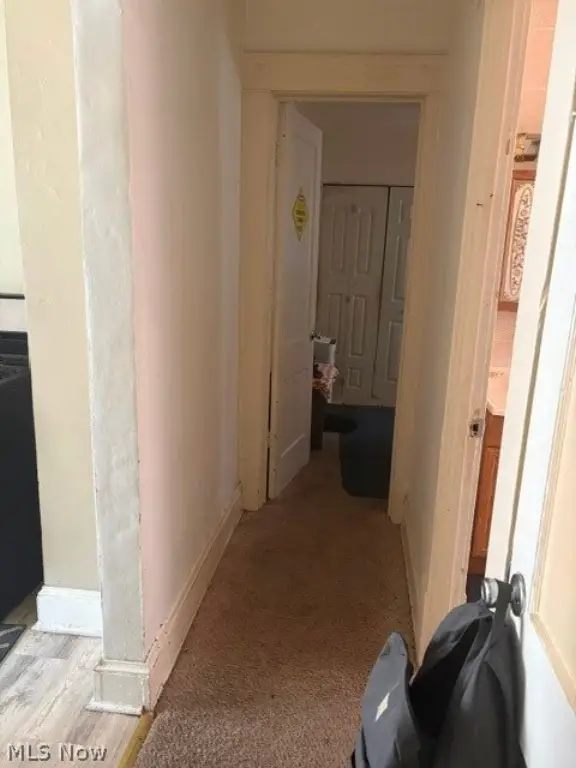 Picture 17