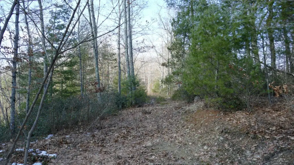 Picture 4