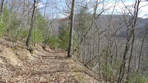 Secluded Acreage in Highland County