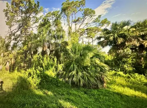 Residential Lot in Port Charlotte