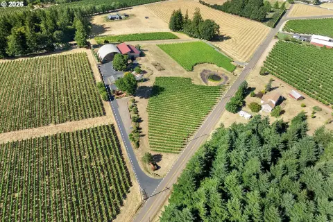 Vineyard Estate With Winery