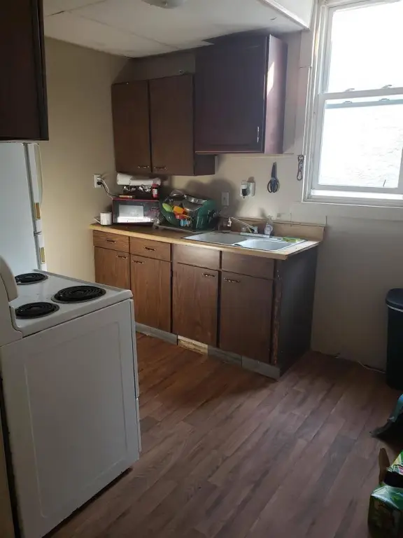 Picture 23