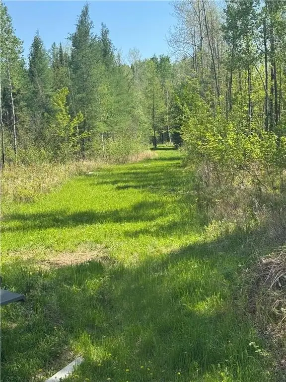 Picture 41