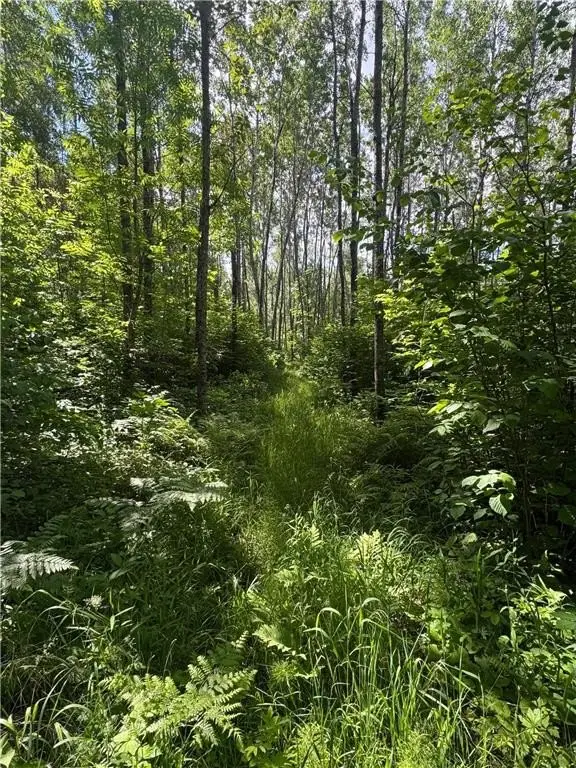 Picture 38