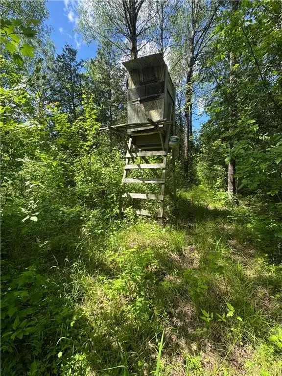 Picture 46