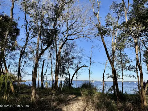 Waterfront Acreage on St Johns River