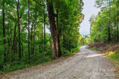 Residential Land in Waynesville, NC