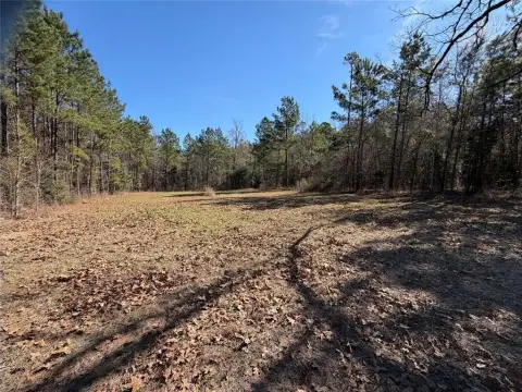 10 Acres Unimproved Land, Jacksonville