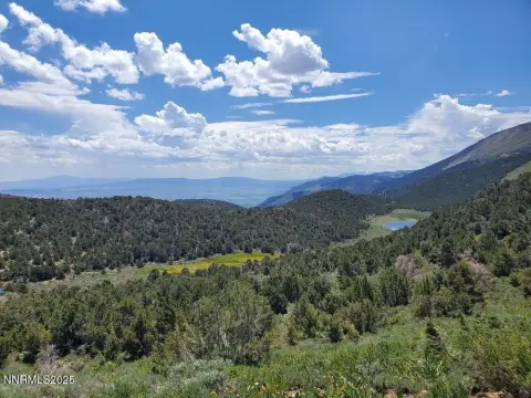 80 Acres in Pine Nut Mountains