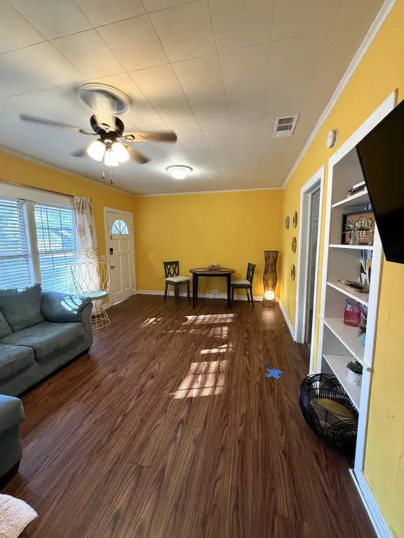 Picture 5
