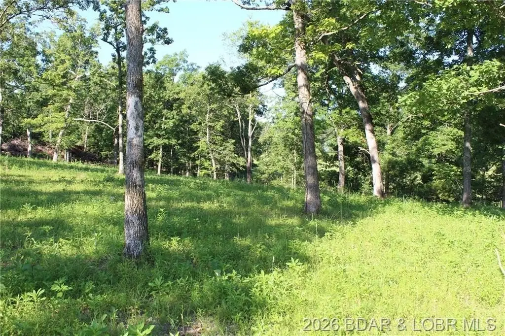 Picture 4