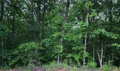Picture of Recreation land at Old Mckaskey Creek Road SE, Cartersville, GA