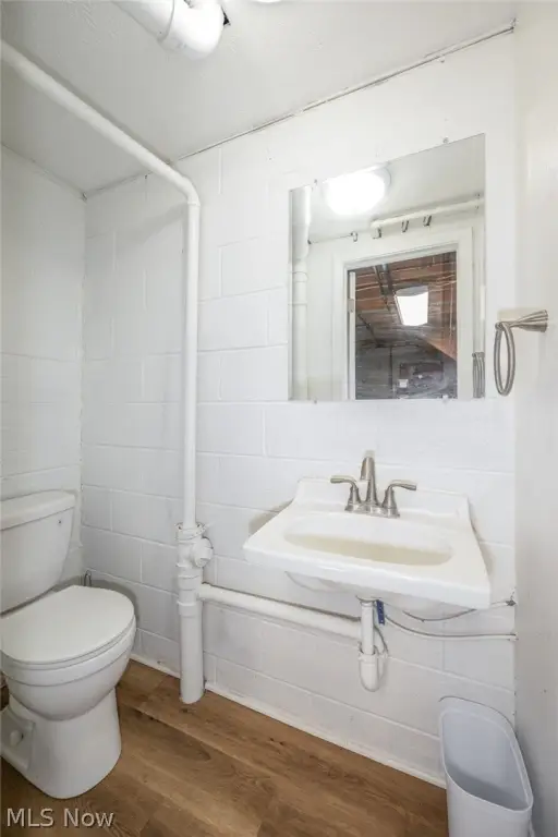 Picture 18
