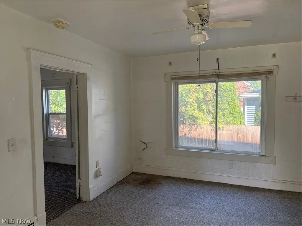 Picture 14