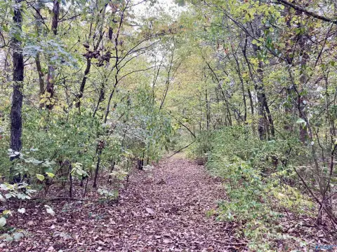 Picture of Residential land & home lots at 13 14 Forest Home Drive, Trinity, AL