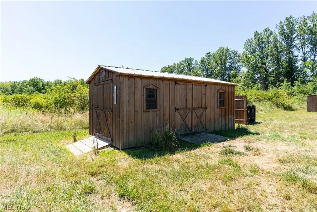Picture 19