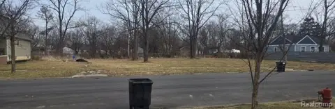 Detroit Vacant Residential Land