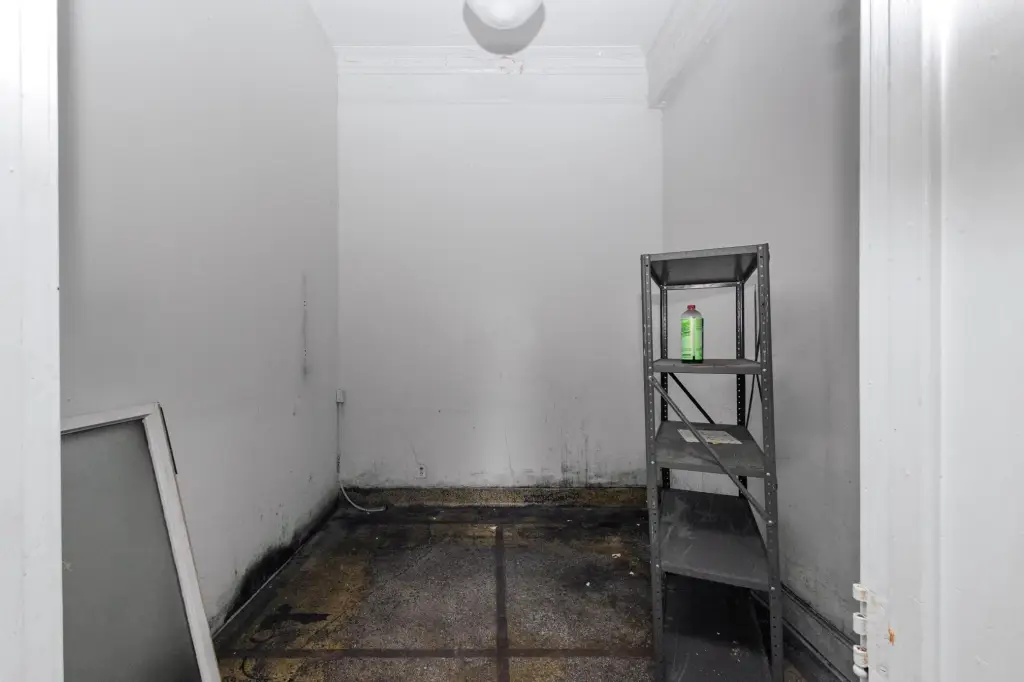 Picture 21