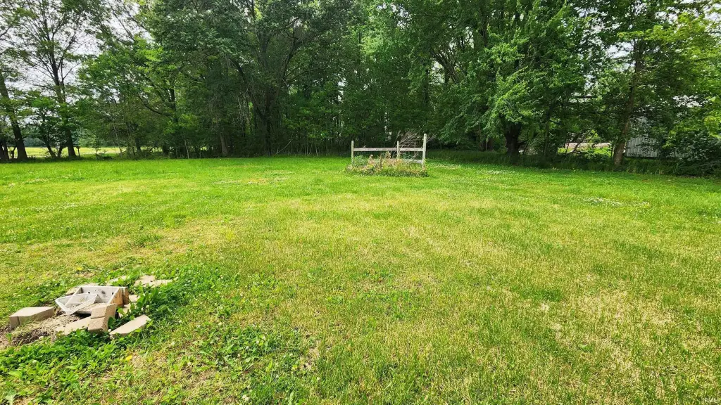 Picture 6