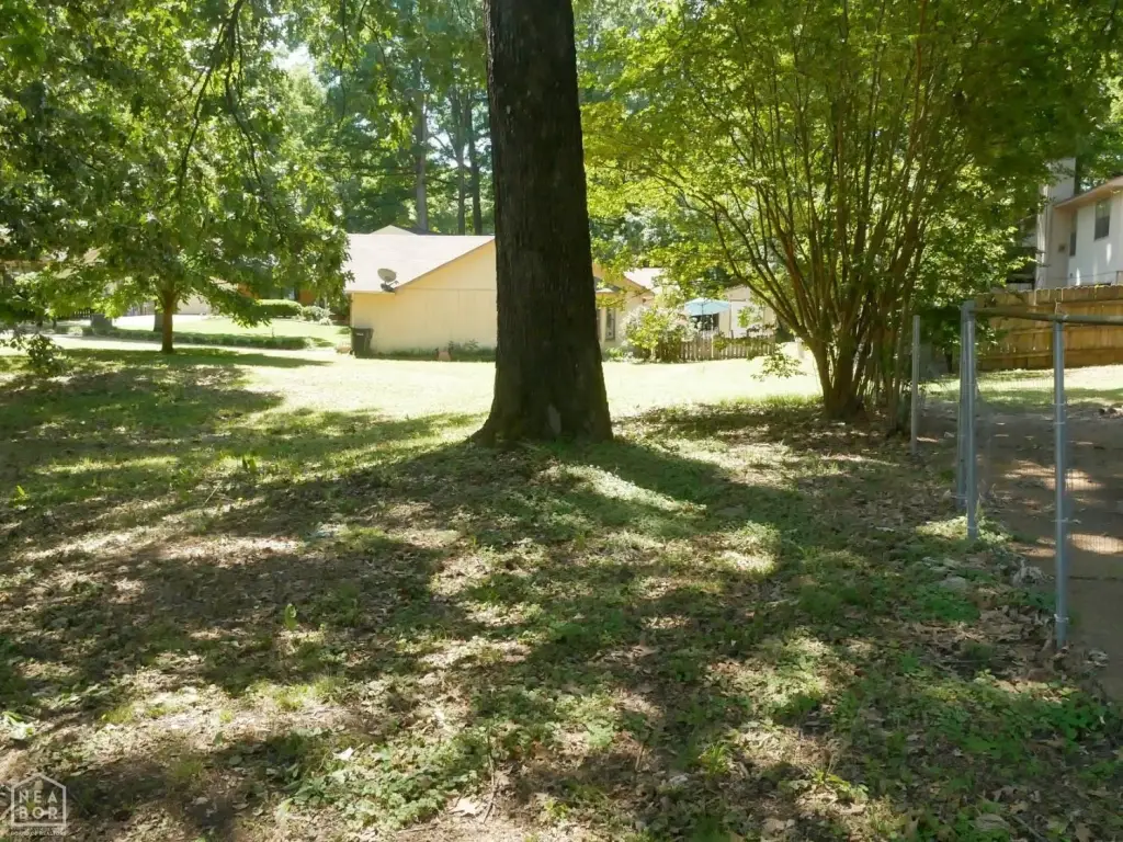 Picture 11