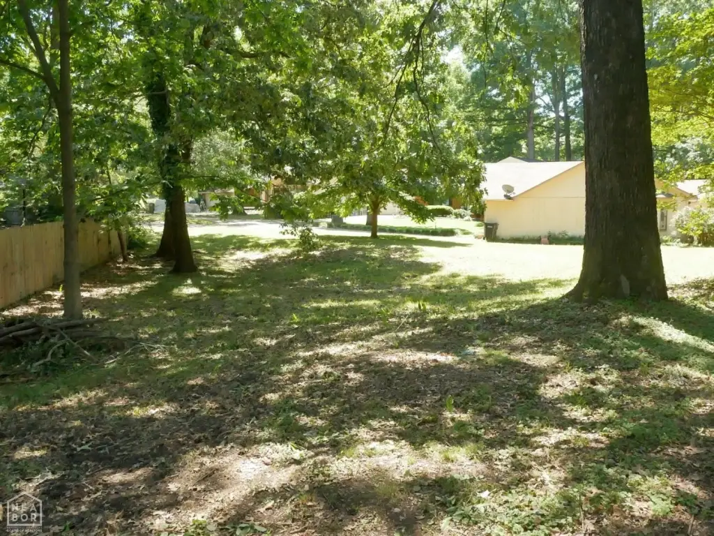 Picture 12