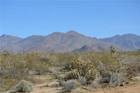 Land with Mountain Views in Yucca
