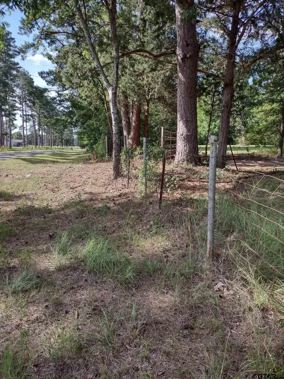 Picture 21