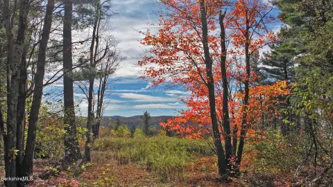Residential Land in Washington, MA
