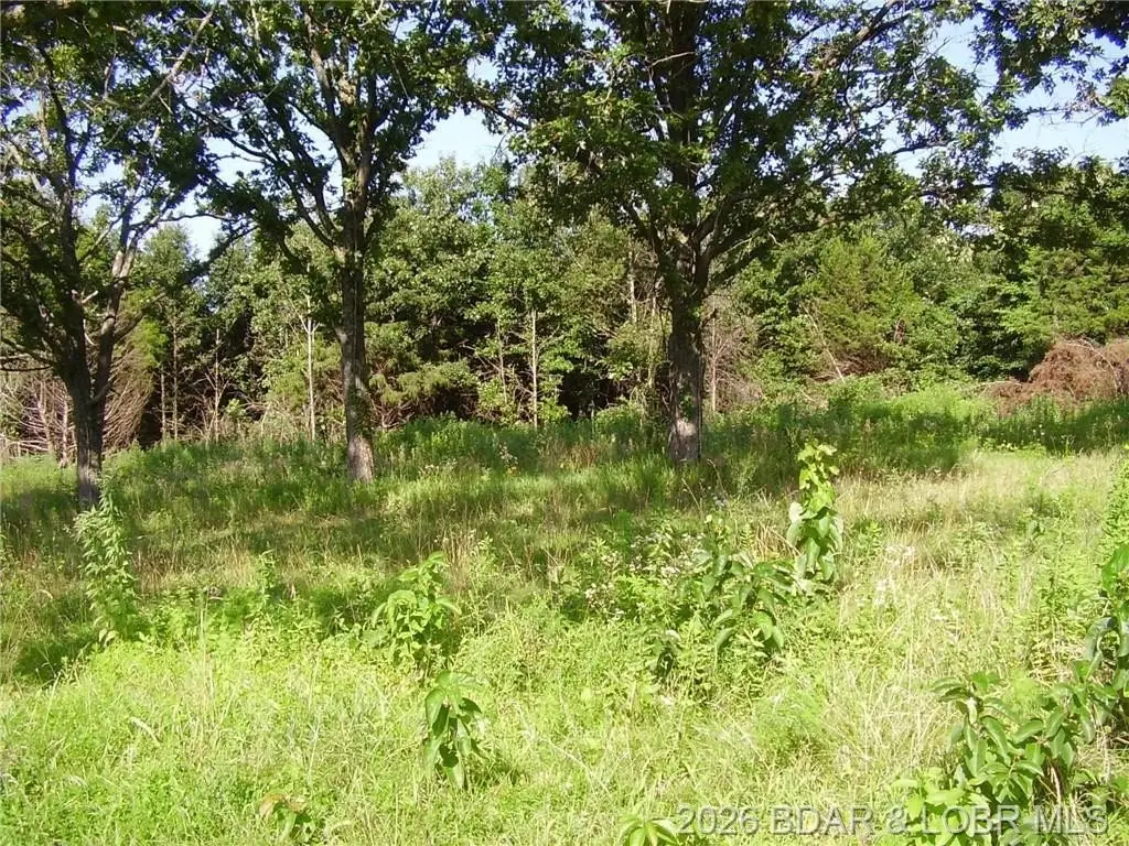 Picture 11