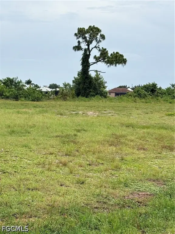 Picture 4