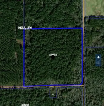 Recreation Hunting Land Tract