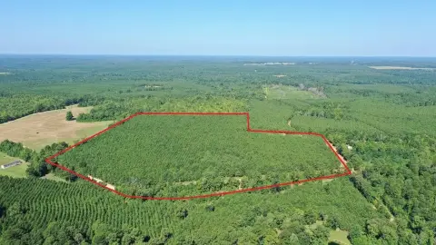 Hunting Land Tract with Dual Road Frontage