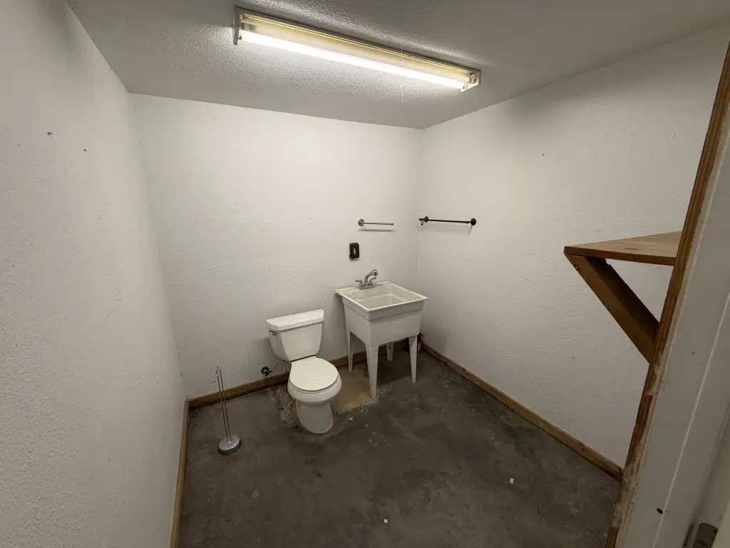Picture 5