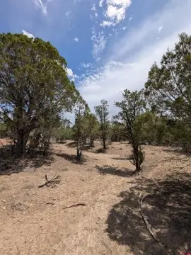 Spacious Lot Near Navajo Lake