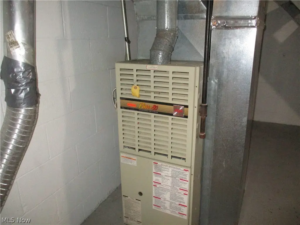 Picture 12